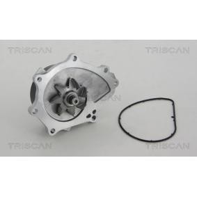 Achetez des Pompe à eau TRISCAN 8600 13037 à prix pour 63,06 €