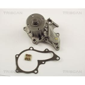 Achetez des Pompe à eau TRISCAN 8600 13991 à prix pour 65,62 €