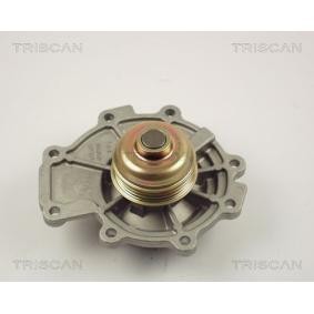 Wasserpumpe von TRISCAN