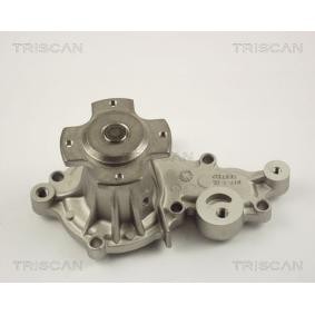 Comprar Bomba de agua de TRISCAN 8600 69007 a bajo precio de 51,45 €