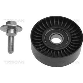Compre Polia de desvio / de guia, correia trapezoidal estriada da TRISCAN 8641 102004 a um preço baixo por 22,67 €