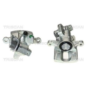 Acquista Galoppino guidacinghia, cinghia Poly-V da TRISCAN 8641 102013 a buon mercato per soli 69,52 €