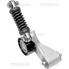 Riemenspanner, Keilrippenriemen des Herstellers TRISCAN - Originalware Artikelnummer: 8641 103009