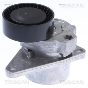Riemenspanner, Keilrippenriemen des Herstellers TRISCAN - Originalware Artikelnummer: 8641 103010