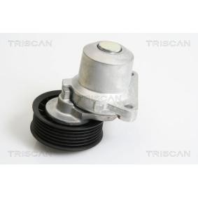 Acquista Braccio tenditore, Cinghia Poly-V da TRISCAN 8641 103033 a buon mercato per soli 114,72 €