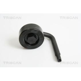 Spannrolle des Herstellers TRISCAN - Originalware Artikelnummer: 8641 111016