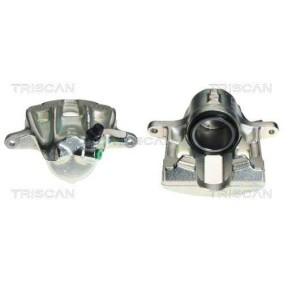 Acquista Braccio tenditore, Cinghia Poly-V da TRISCAN 8641 161005 a buon mercato per soli 90,41 €
