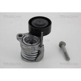 Comprar Polea tensora, correa poli V de TRISCAN 8641 241004 a bajo precio de 94,09 €