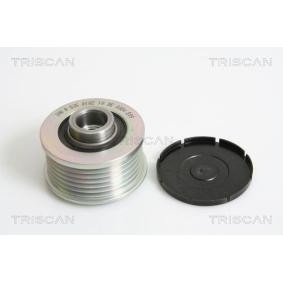 Generatorfreilauf von TRISCAN