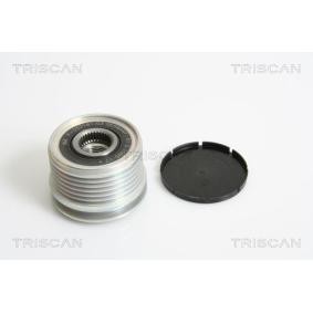 Generatorfreilauf von TRISCAN