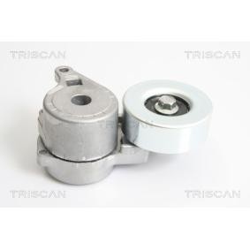 Achetez des Galet tendeur de courroie d'accessoire de chez TRISCAN en ligne pour Galant VIII Break (EA0) à prix modérés