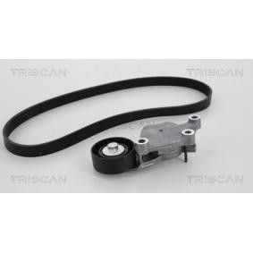 Comprar Juego de correas trapeciales poli V de TRISCAN 8642 10002 a bajo precio de 81,01 €