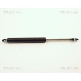 Køb Bagklapsdæmper af TRISCAN 8710 11203 til den lave pris 502,49 DKK