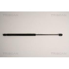 Heckklappendämpfer von TRISCAN 8710 17211