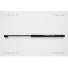 Heckklappendämpfer von TRISCAN 8710 17212