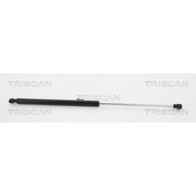 Heckklappendämpfer von TRISCAN 8710 17216
