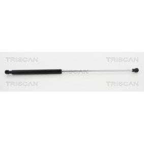 Heckklappendämpfer von TRISCAN 8710 17217