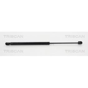 Heckklappendämpfer für MINI von TRISCAN