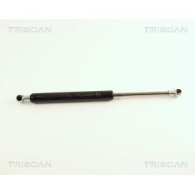 Heckklappendämpfer für VW von TRISCAN