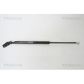 Heckklappendämpfer von TRISCAN für Legacy III Kombi (BH) günstig online kaufen