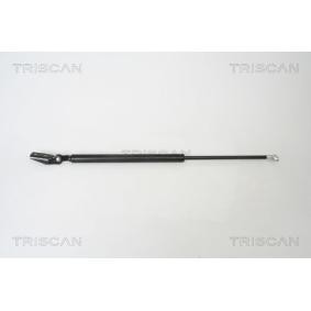 Heckklappendämpfer von TRISCAN für Legacy III Kombi (BH) günstig online kaufen