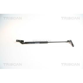 Comprar Amortiguador de maletero de TRISCAN 8710 69209 a bajo precio de 109,85 €