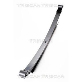 Federpaket von TRISCAN 8765 28001