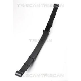 Federpaket von TRISCAN 8765 41005