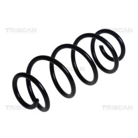 Compre Molas de lâminas da TRISCAN 8765 43001 a um preço baixo por 405,53 €