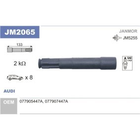 Acquista Cappuccio, Bobina d'accensione da JANMOR JM2065 a buon mercato per soli 5,28 €