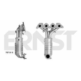Comprar Catalizador de ERNST 757515 a bajo precio de 732,12 €