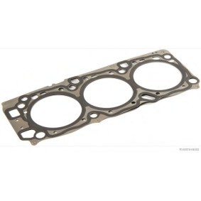 Acquista Guarnizione testata da HERTH+BUSS JAKOPARTS J1255059 a buon mercato per soli 73,89 €