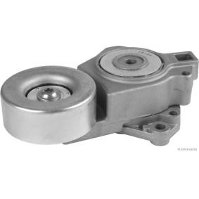 Achetez des Galet tendeur de courroie d'accessoire HERTH+BUSS JAKOPARTS J1145073 à prix pour 170,24 €
