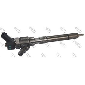 Compre Injector da TEAMEC 810 173 a um preço baixo por 267,75 €