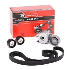 Compre Jogo de correias trapezoidais estriadas da GATES K017PK2035 a um preço baixo por 111,76 €