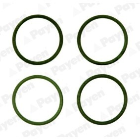 Acquista Kit guarnizioni, Collettore aspirazione da PAYEN HA5028 a buon mercato per soli 8,69 €