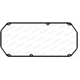 Acquista Guarnizione, Copritestata da PAYEN JM5247 a buon mercato per soli 27,76 €