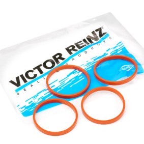 Acquista Kit guarnizioni, Collettore aspirazione da REINZ 11-37616-01 a buon mercato per soli 4,89 €