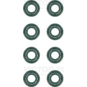 Compre Jogo de juntas, haste da válvula da REINZ 12-27431-01 a um preço baixo por 13,77 €