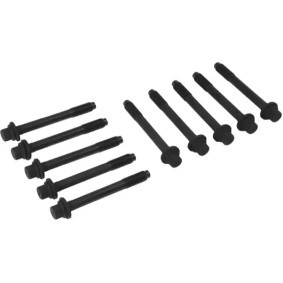 Acquista Kit bulloni testata da REINZ 14-55075-01 a buon mercato per soli 32,18 €