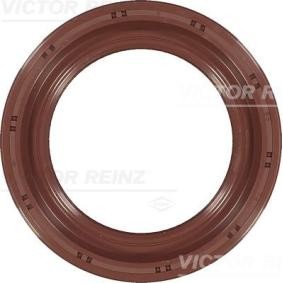 Acquista Paraolio albero a gomiti da REINZ 81-53606-00 a buon mercato per soli 27,56 €