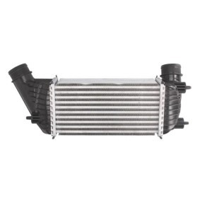 Acquista Tubo aspirazione filtro aria da THERMOTEC DCW111TT a buon mercato per soli 5,26 €