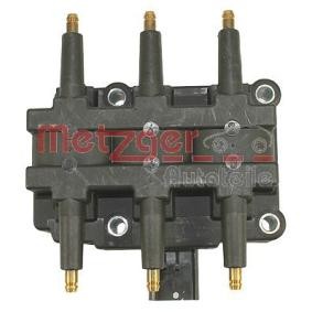 Achetez des Bobine d'allumage METZGER 0880412 à prix pour 69,66 €