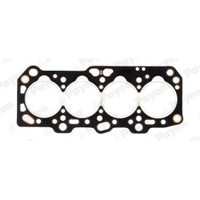 Acquista Guarnizione testata da PAYEN AG5300 a buon mercato per soli 51,08 €