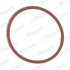 Ansaugkrümmerdichtung von PAYEN JD5107