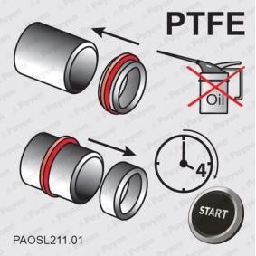 Acquista Paraolio albero a camme da PAYEN NA5307 a buon mercato per soli 15,65 €