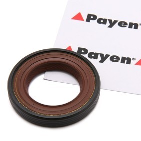 Acquista Paraolio albero a camme da PAYEN NF846 a buon mercato per soli 5,40 €
