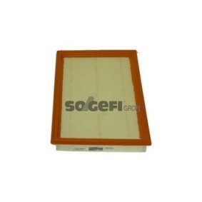 Compre Filtro de ar da COOPERSFIAAM FILTERS PA7791 a um preço baixo por 16,20 €