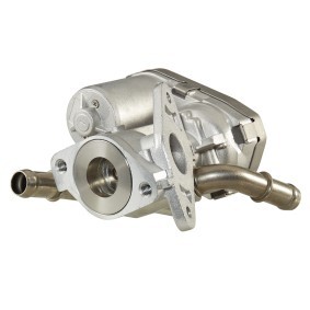 AGR-Ventil 6NU 010 171-271 für FORD