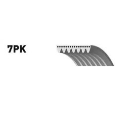 Compre Correia trapezoidal estriada da SNR CA7PK2265 a um preço baixo por 20,42 €